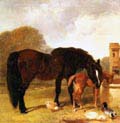 horse and foal watering at a trough